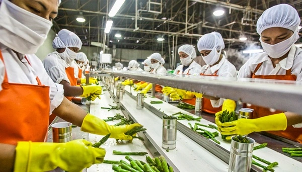 Food Processing and Local Produce Business