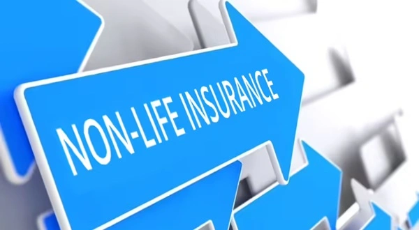 Non-Life Insurance
