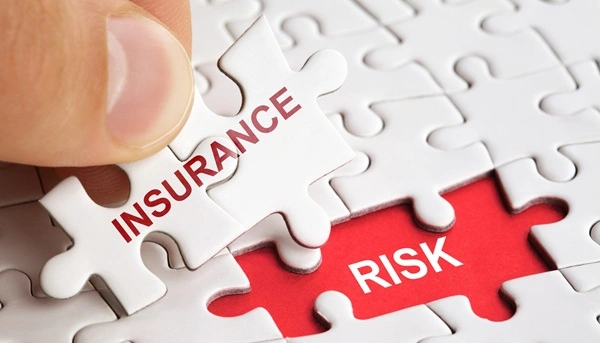 Risk in Insurance