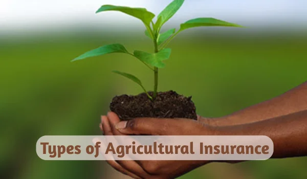 Types of Agricultural Insurance