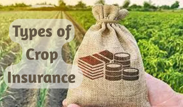 Types of Crop Insurance