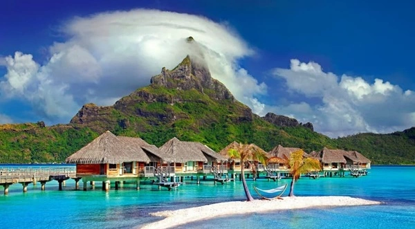 Tourism & Eco-Resort Business