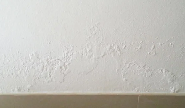 Damp Wall